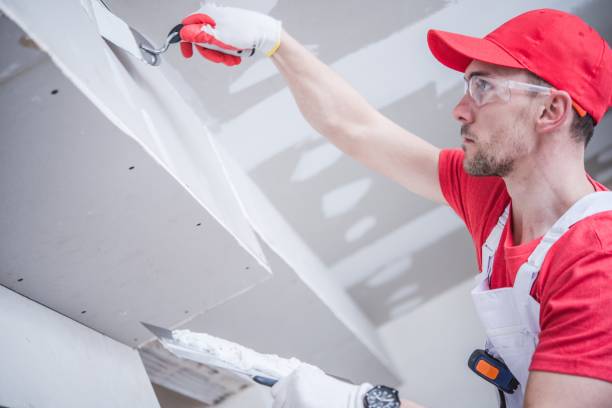  Nevada, TX Dry wall and painting Pros